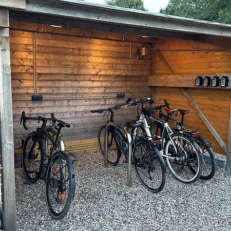 Linnebarg Hus 3 Bisdorf